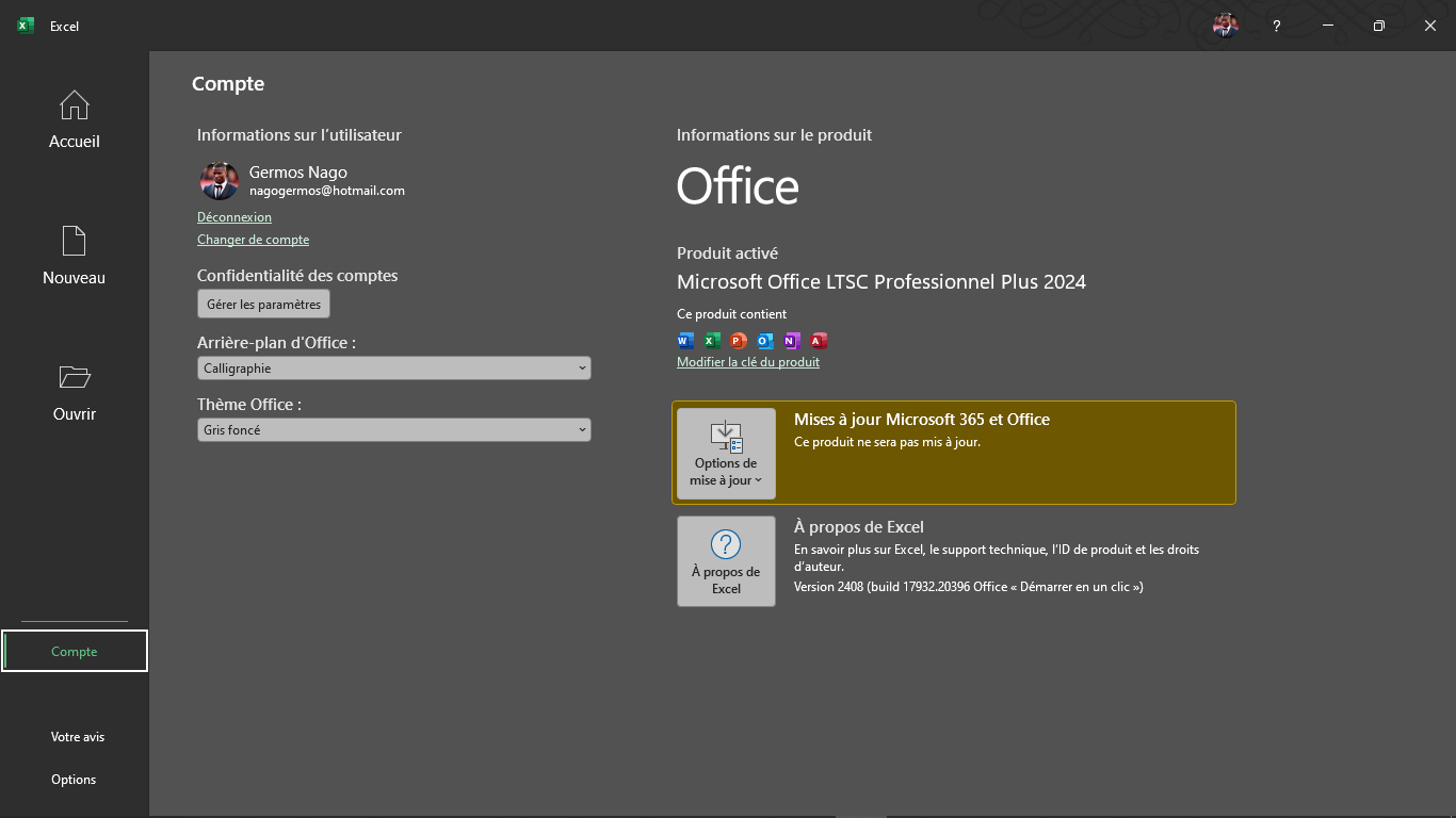 Interface Microsoft Office 2024